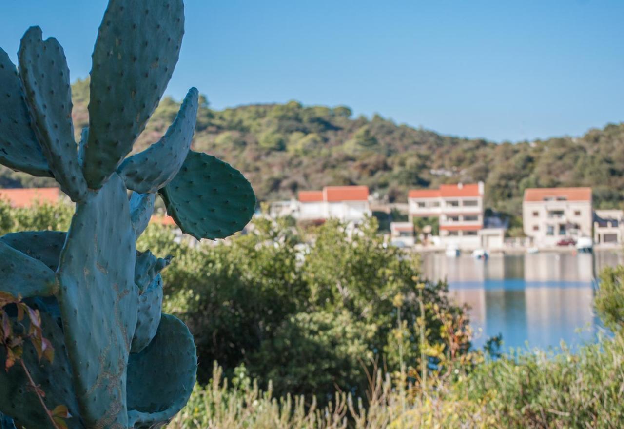 Lastovo Apartmani Jagoda מראה חיצוני תמונה